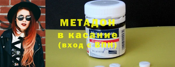 прущие грибы Елабуга