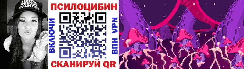 Галлюциногенные грибы мицелий кракен маркетплейс Теберда